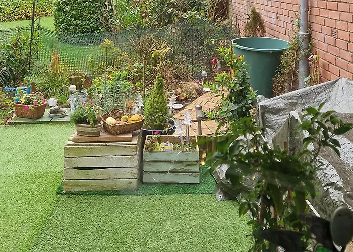 Stunning In With Wifi * Molfsee